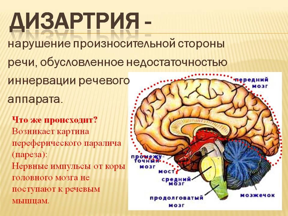Слайд2.jpg